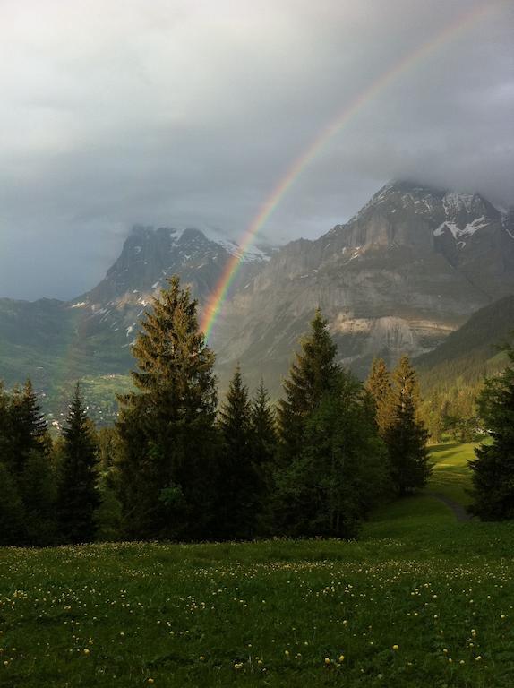 Ferienwohnung im Grünen Grindelwald Exterior foto