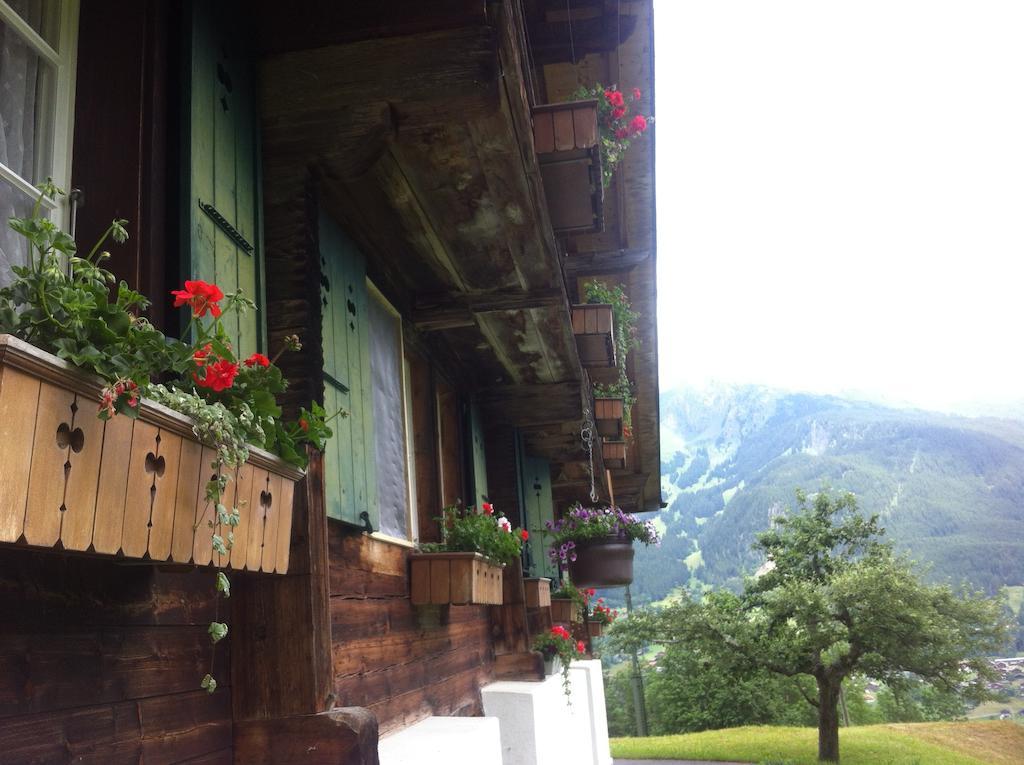 Ferienwohnung im Grünen Grindelwald Exterior foto